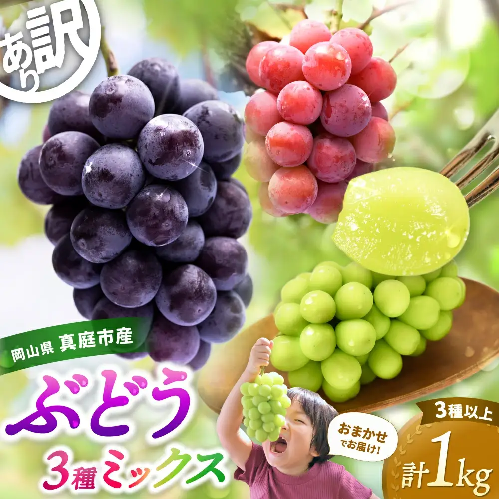 【訳あり】 岡山県産訳ありぶどう詰め合わせ 【hana018-02】