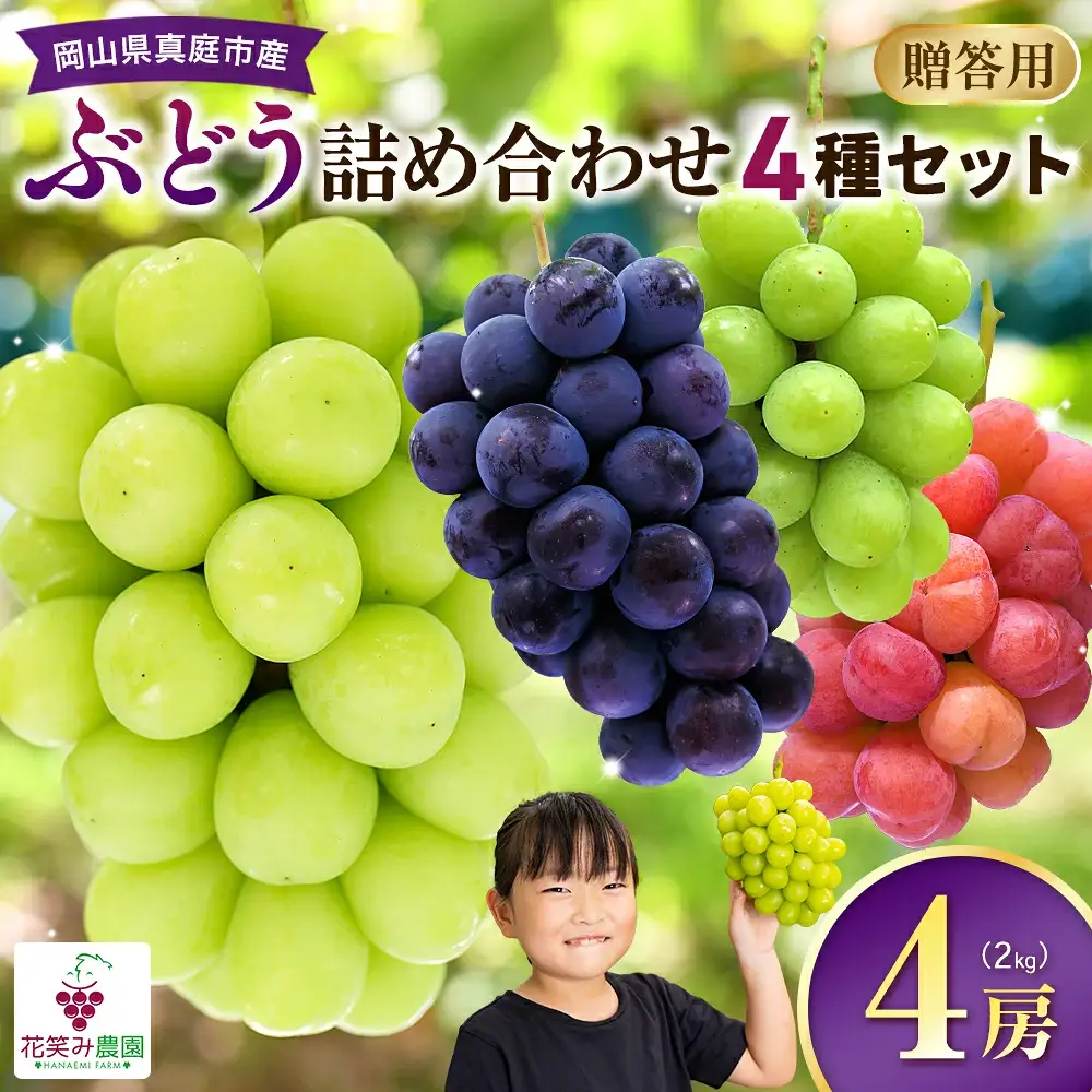ぶどう 岡山県産ぶどう詰め合わせ シャインマスカット入り2kg（4房） 【hana019-02】
