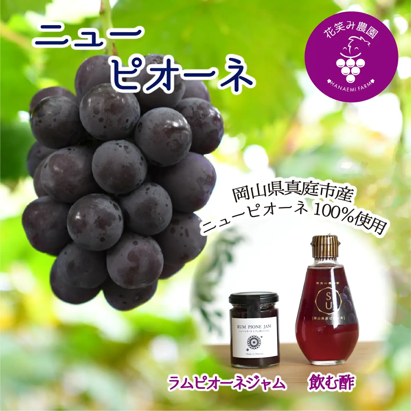 【2026年先行予約】花笑み農園　岡山の『ピオーネ&ラムピオーネジャム&飲む酢』 【hana071-02】