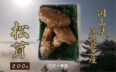 きのこ 松茸 岡山県産きのこ 松茸200g 【hana011-02】