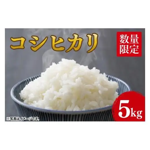 米 コシヒカリ 精米 5kg 令和8年産 こめ こしひかり 茨城県産 農家直送 先行予約 単一米 単一原料米 茨城県 阿見町 【2026年10月中旬より順次発送】（68-01）