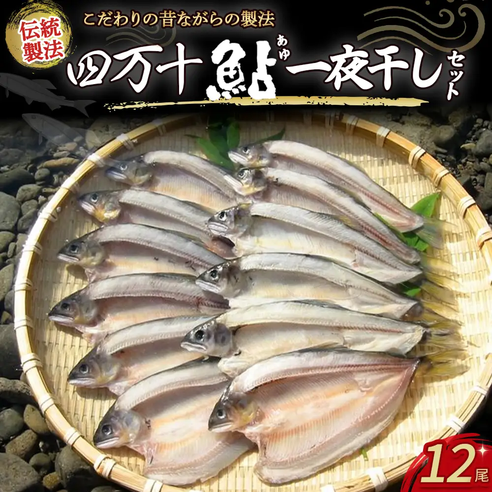 四万十鮎 一夜干し 12尾セット ／Ess-14 あゆ 鮎 川魚