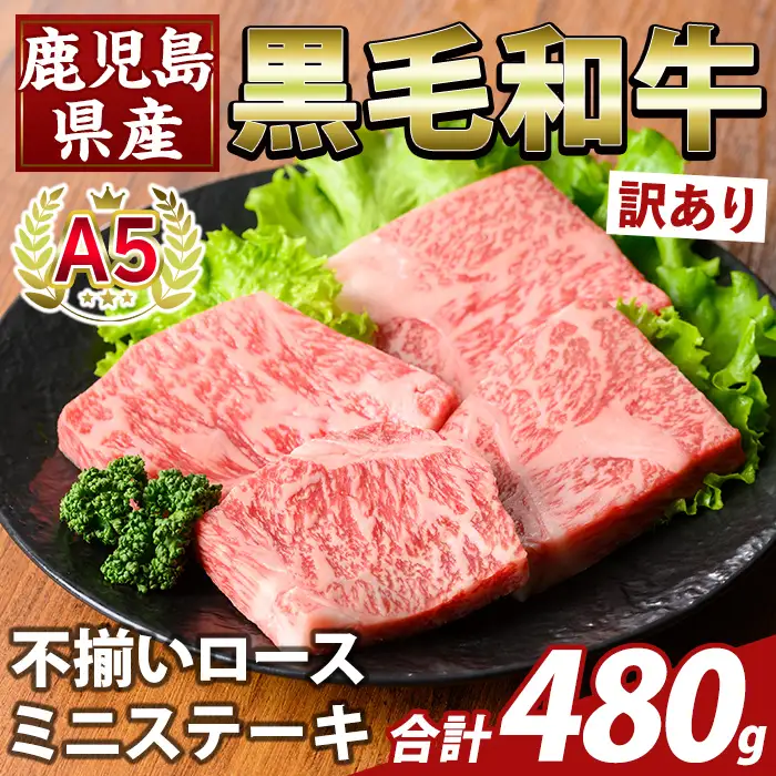 K-479-B ＜訳あり＞鹿児島県産A5等級黒毛和牛不揃いロースミニステーキ(計480g) 【ふるさと産直バザール】霧島市 牛肉 国産 鹿児島県産 赤身肉 不揃い ワケアリ ロース ステーキ 肉 精肉