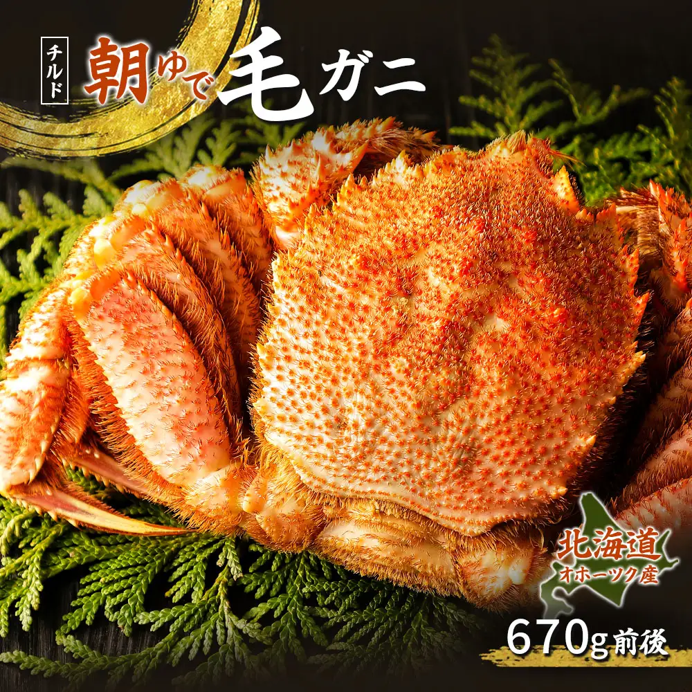 北海道オホーツク海産 朝ゆで毛ガニ 670g前後（冷蔵）【07147】