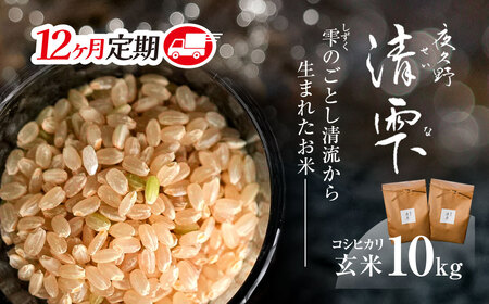 ＜12ヶ月定期便＞＜令和7年産＞ 京都夜久野産 清雫(せいな) コシヒカリ 玄米 (10kg×12回) ふるさと納税 福知山市 令和7年度産 先行 定期便 選べる 容量 回数 玄米 夜久野 京都 【fc-DB005-C12】【合同会社夜久野清雫】