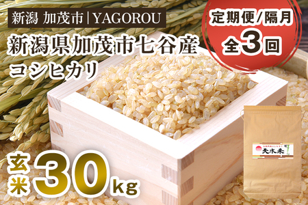 【令和8年産新米先行予約】【定期便3回隔月お届け】七谷産コシヒカリ 玄米30kg 《10月上旬～順次出荷》