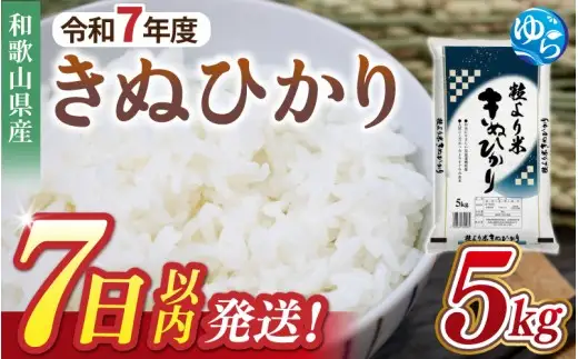 【7日以内発送】きぬひかり5kg ※お届け日指定不可※ 【jahd008A】