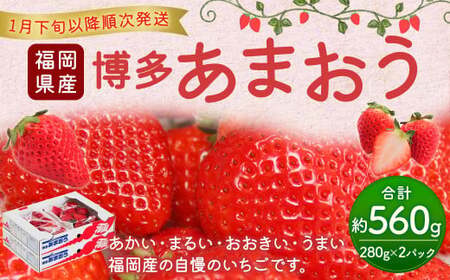 福岡県産 博多あまおう約560g（約280g×2パック入り） いちご 苺 イチゴ フルーツ 果物 くだもの  【2027年1月下旬～3月下旬発送予定】