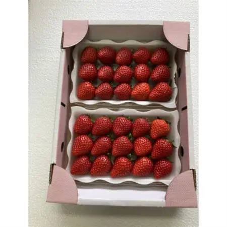 【特選】あまりん(イチゴ)L～3Lサイズ　230g×2パック【配送不可地域：離島・北海道・沖縄県・中国・四国・九州】【1604433】