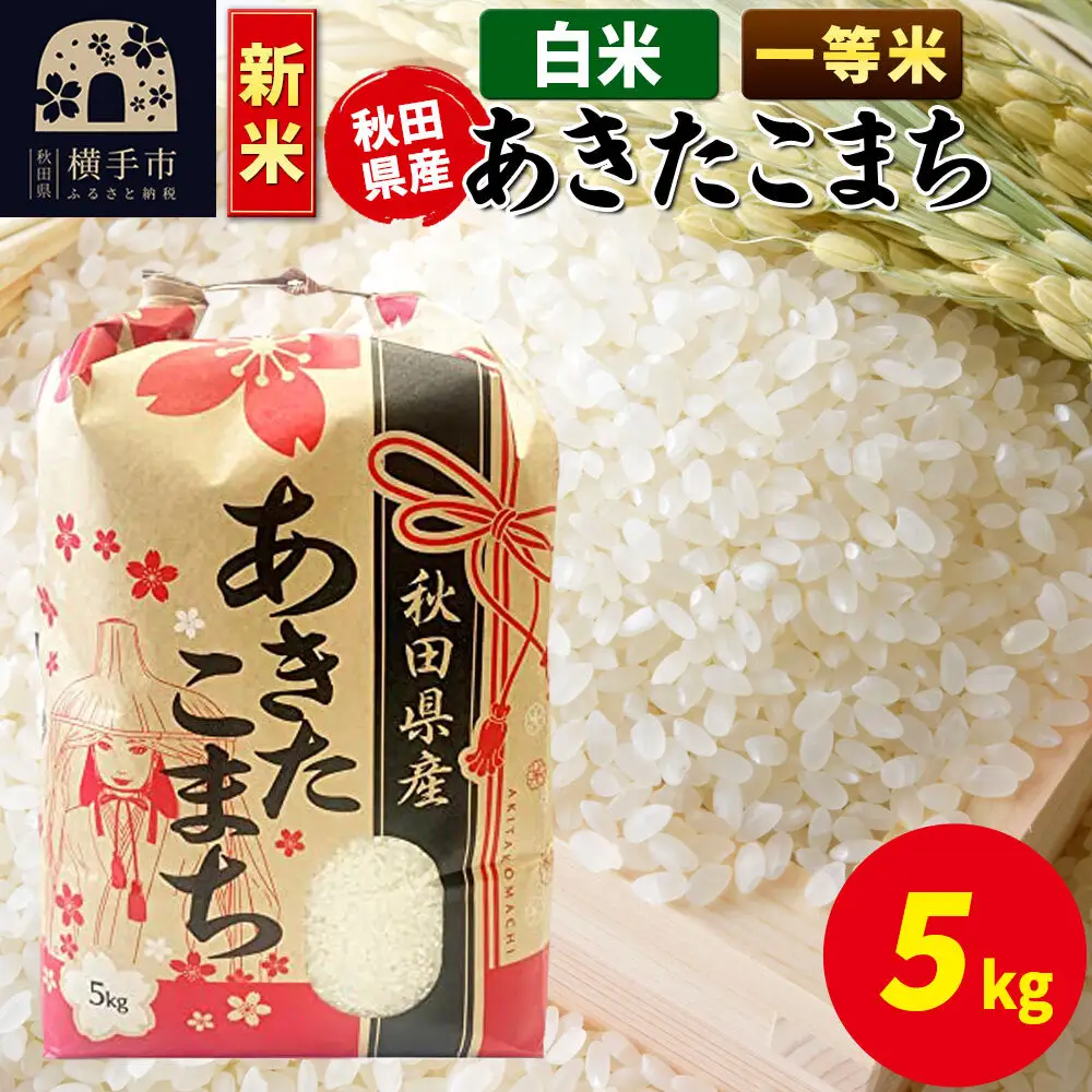 《新米》あきたこまち 一等米 5kg×1袋【白米】秋田県産 こまちライン