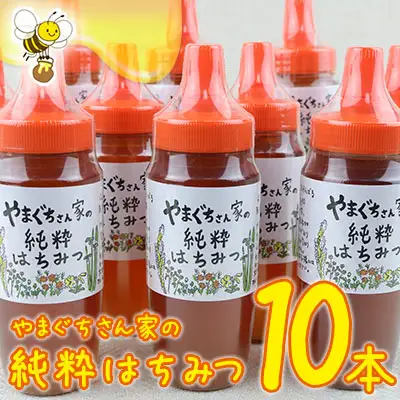 やまぐちさん家の純粋はちみつ〈250g×10本セット〉