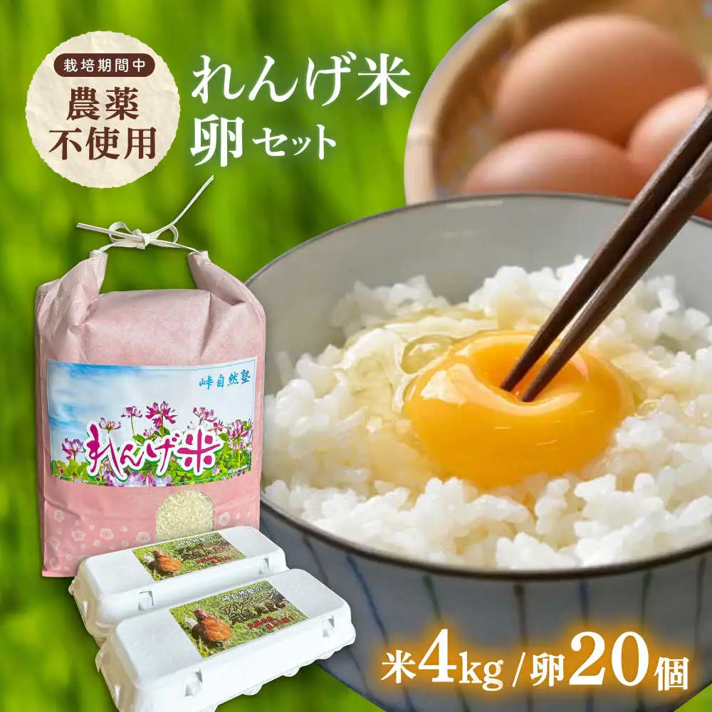 【令和7年度米】4kg・放し飼いたまご20個セット ヒノヒカリれんげ米 元気たまご【浅田峠自然塾】[EA19]