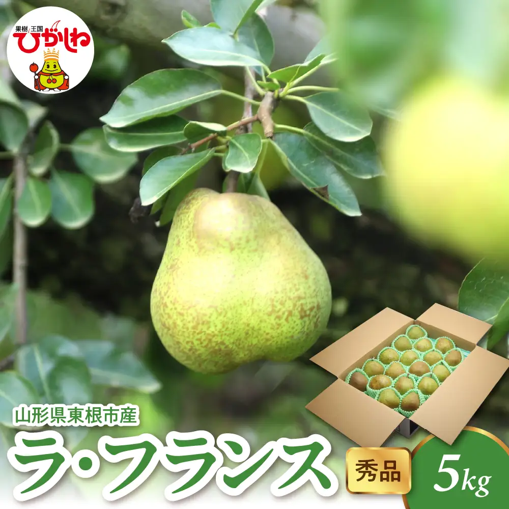【2026年産】 ラ・フランス 5kg（8-25玉）秀品 洋なし