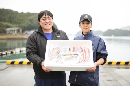 真鯛とブリ しゃぶしゃぶ鍋セット しゃぶしゃぶ