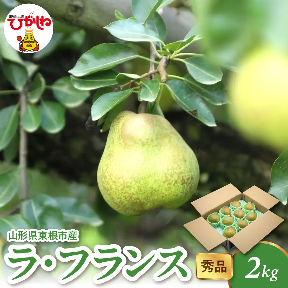 【2026年産】 ラ・フランス 2kg（4-9玉） 秀品 洋なし