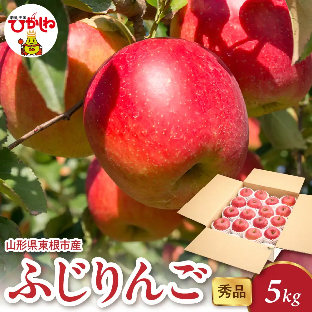 【2026年産】 ふじりんご 5kg（8-25玉） 秀品 りんご