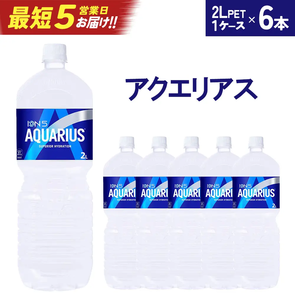【最短5営業日着！】アクエリアス2LPET×6本　【04301-0536】