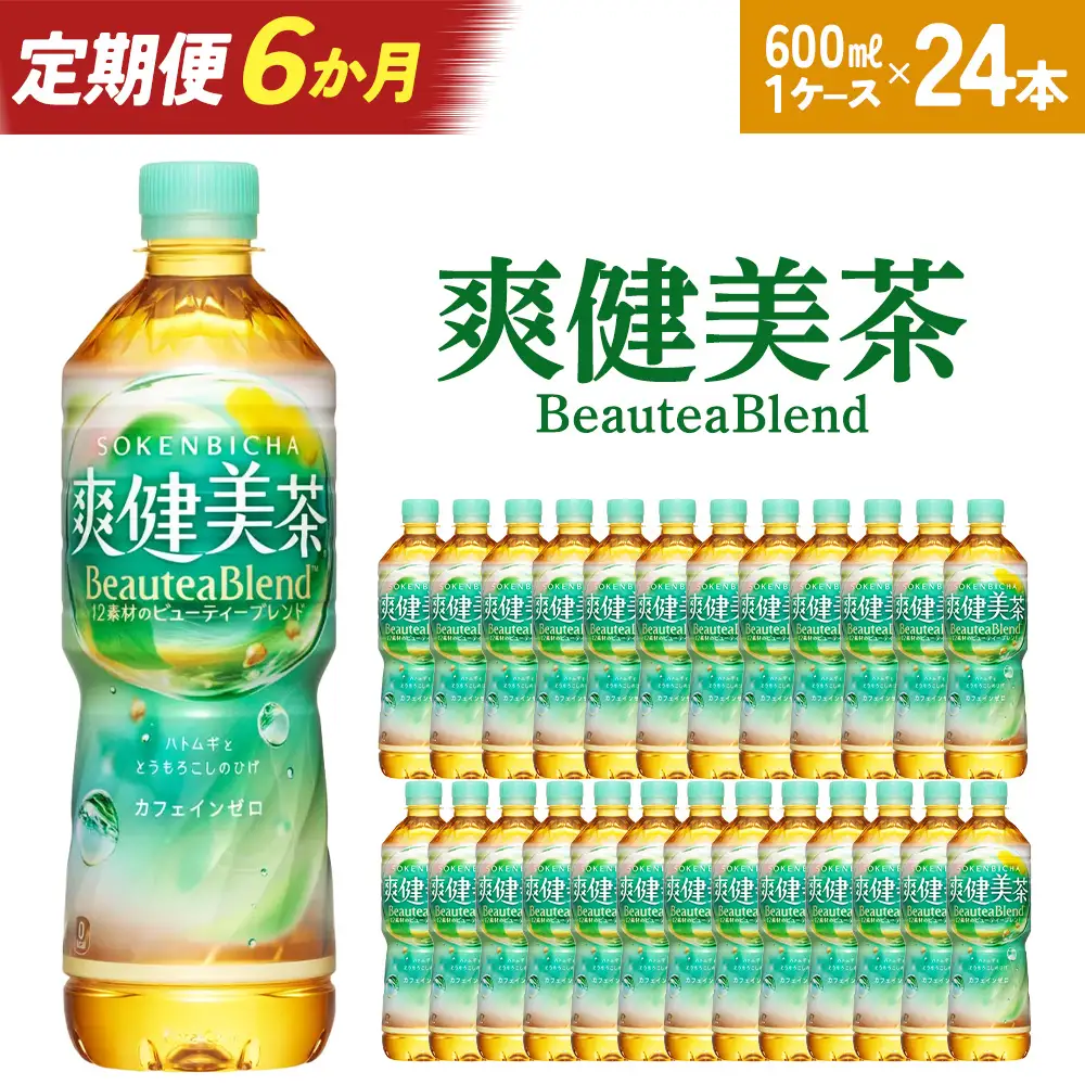 【6か月連続お届け】爽健美茶　600ml PET×24本　【04301-0697】