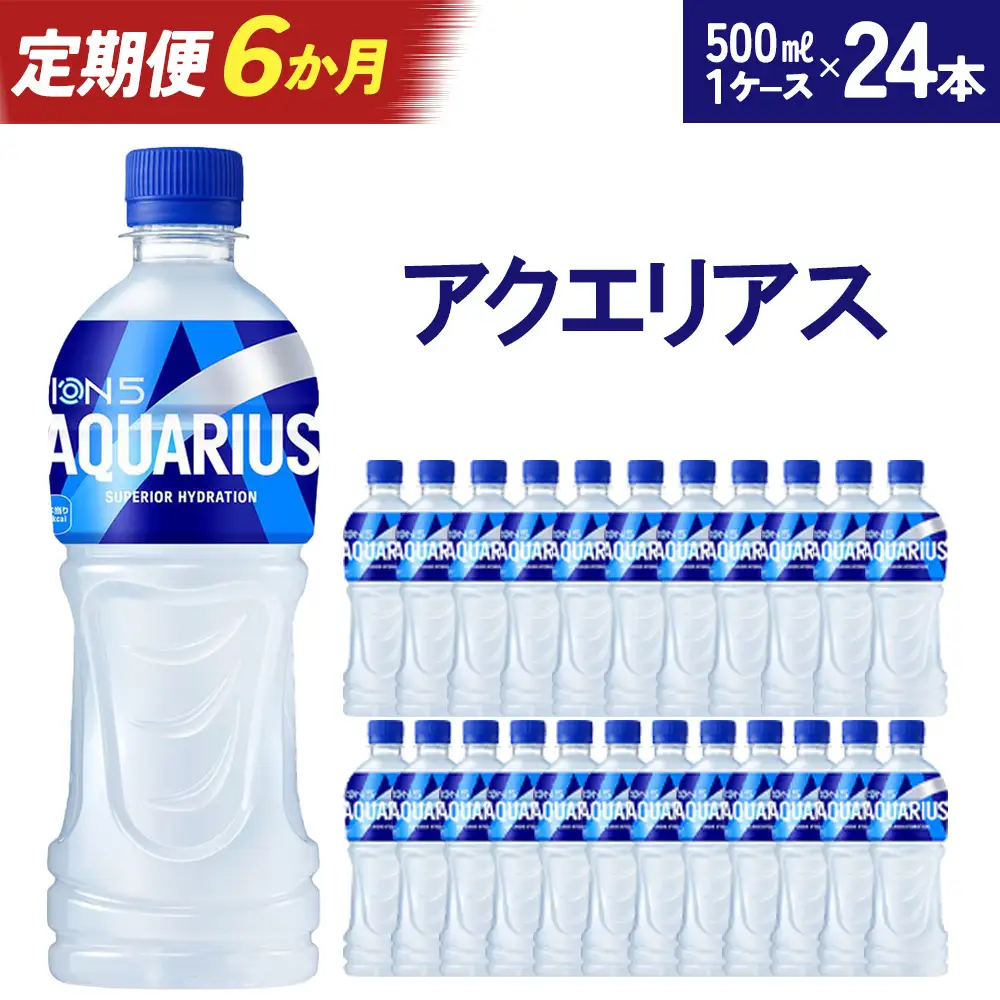 【6か月連続お届け】アクエリアス　500ml PET×24本　【04301-0706】