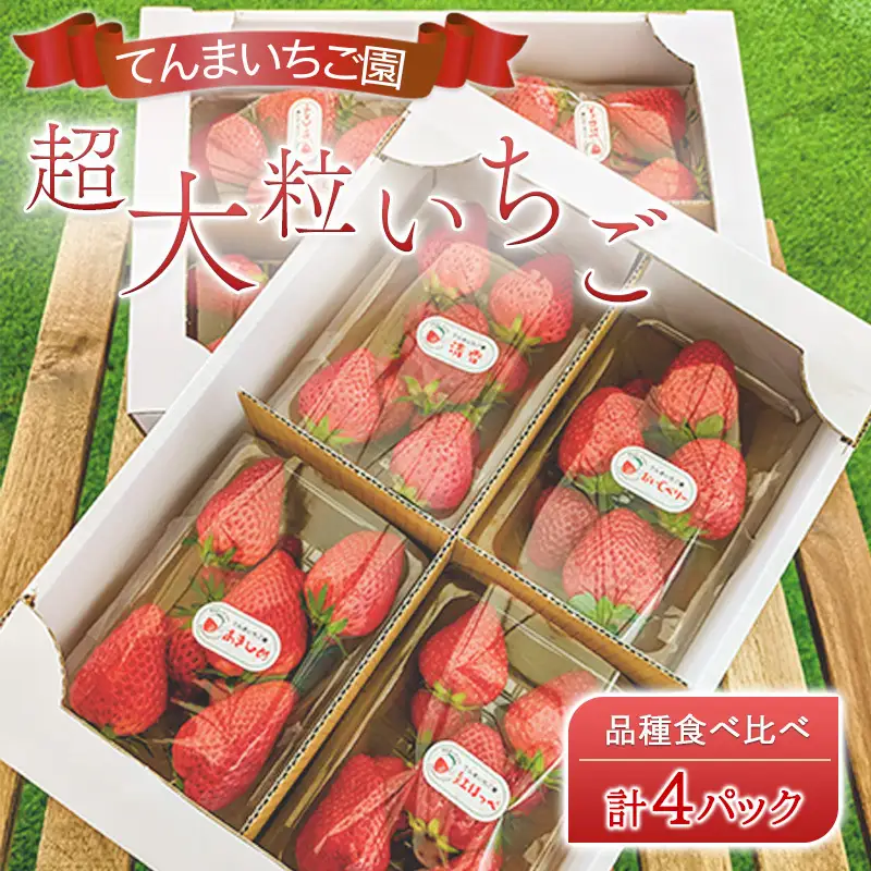 いちご てんまいちご園 超大粒 品種食べ比べ いちご【4パック】【先行予約】