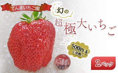 いちご てんまいちご園 幻の超極大 いちご【2パック】【先行予約】