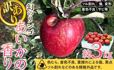 訳あり りんご あいかの香り 約3kg セット 2026年 令和8年度発送分 リンゴ 林檎 長野 フルーツ 果物 信州産 長野県産 特産 産地直送 家庭用 おすすめ