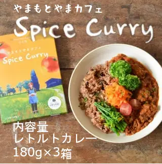 やまもとやまカフェのスパイスカレー (180g×3箱セット) レトルトパウチ やまもとやまCAFE本