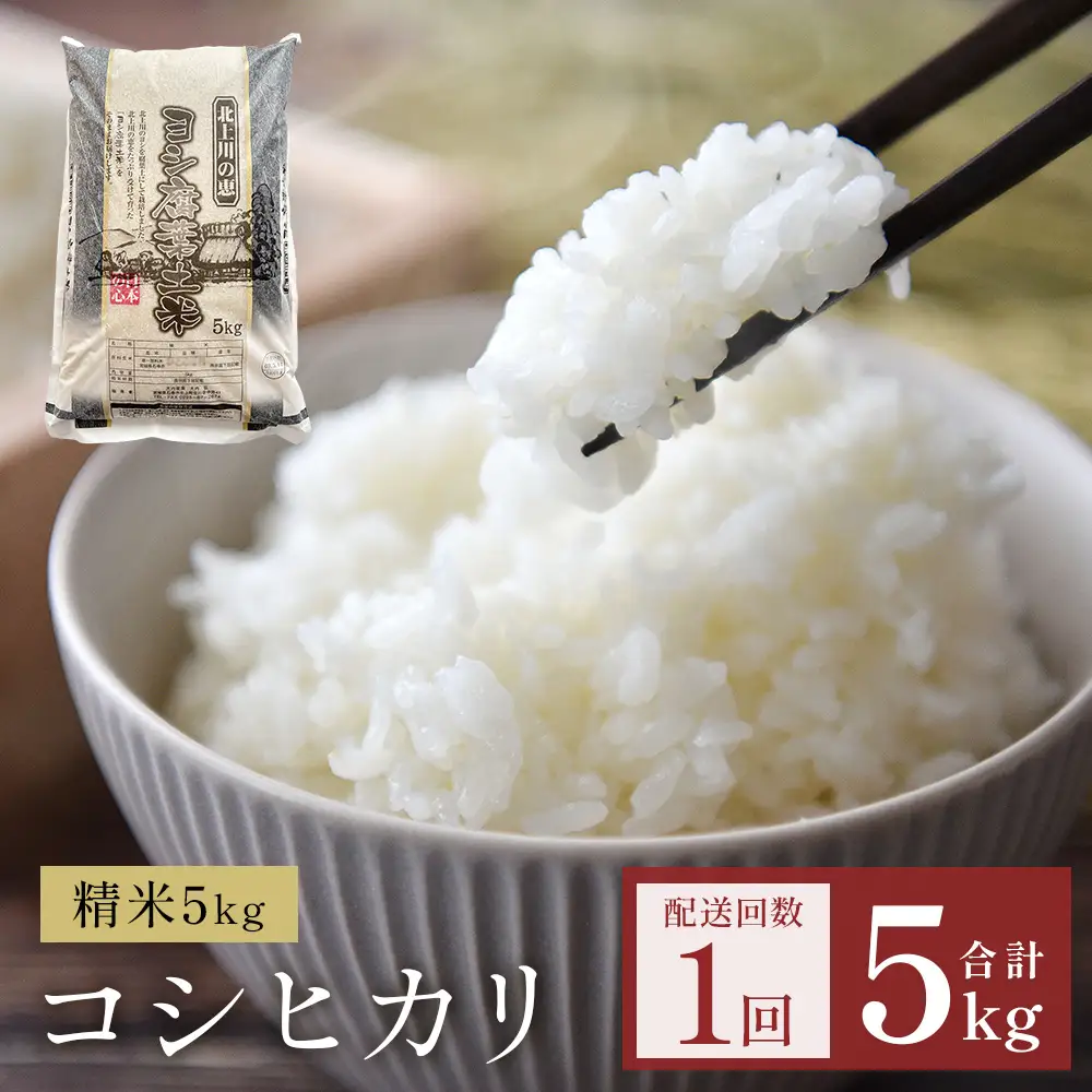 米 令和8年産 コシヒカリ 精米 5kg 単品  こめ コメ お米 ご飯 白米 こしひかり
