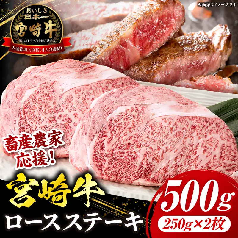 【畜産農家応援】宮崎牛 ロースステーキ 2枚 合計500g_kn085-002
