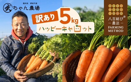 【食品ロス削減】（ 訳あり ）甘さと栄養で体も笑う武ちゃん農場の“ハッピーキャロット” 5kg　H095-022