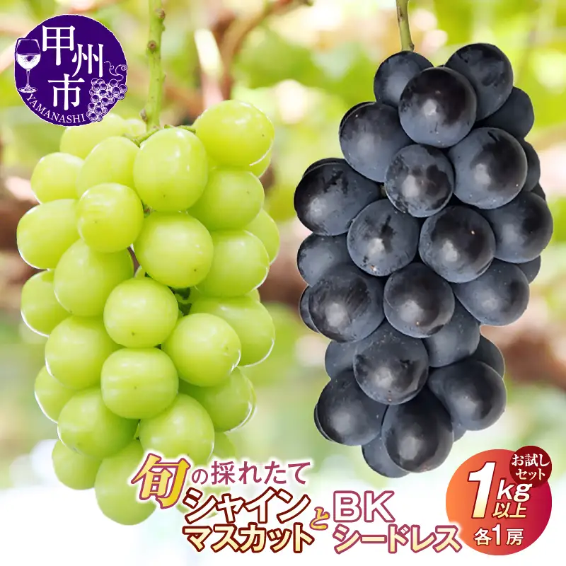 【クール配送】お試しセット！旬の採れたてシャインマスカット＆BKシードレス 1kg以上（各1房）【2026年発送】（HO）B-1411 シャインマスカット BKシードレス フルーツ