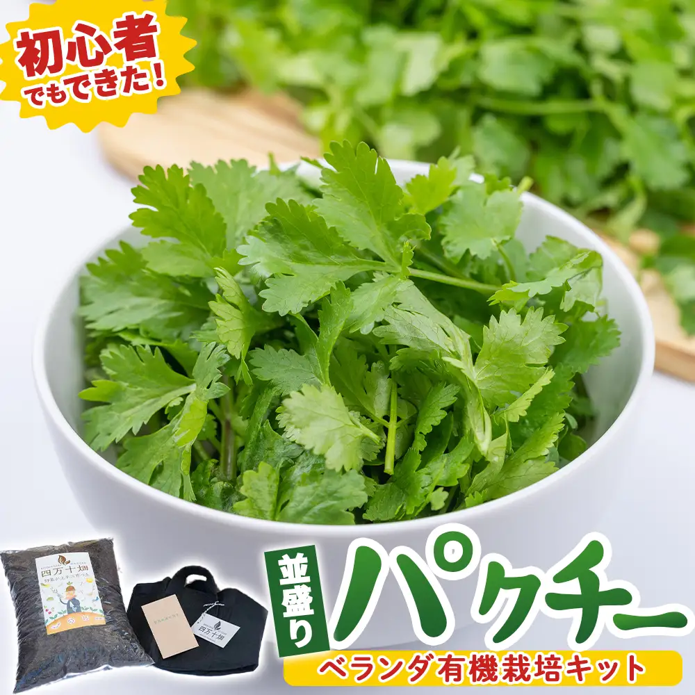 初心者も安心「並盛り」パクチー栽培キット／Fis-B05 パクチー 趣味 ガーデニング 家庭菜園 園芸 ベランダ菜園 プランター 種 種子 プロ仕様の肥料 培養土 トムヤムクン タイ料理