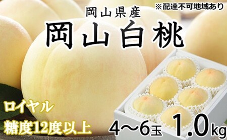 白桃 ロイヤル 約1kg 4～6玉 早生種 中生種 岡山 白桃