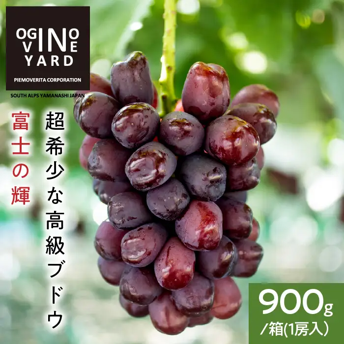 【2026年秋収穫先行予約_9月中旬～発送】 山梨県産 富士の輝900ｇ／箱 １房入　ALPAK017