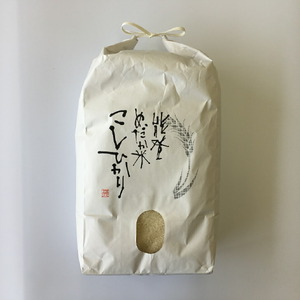 米 10kg /能登コシヒカリ（精米１０kg） こしひかり ※令和6年10月上旬より順次発送予定