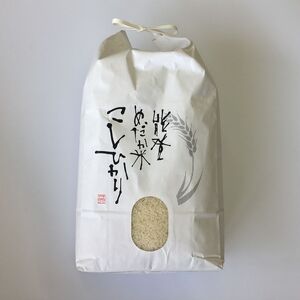 米 5kg /能登コシヒカリ（精米５kg）こしひかり ※令和6年10月上旬より順次発送予定