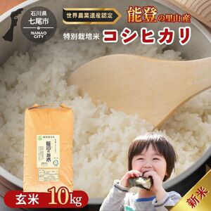 米 玄米 /能登のコシヒカリ　飯川のお米　10kg（玄米10kg×1袋）特別栽培米 ※2026年10月～発送 石川県 七尾市