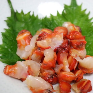 魚介類/天然赤西貝　冷凍むき身パック　100g×2パック ※年末年始の発送不可