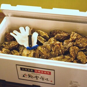 【発送時期が選べる】魚介類 牡蠣 / 能登風土 七尾産「能登かき」殻付き（発泡スチロール梱包(大)）◇ ※必ずよく加熱してお召し上がりください ※2026年12月～発送 ｜ 牡蠣 殻付き