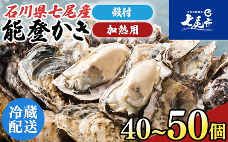 石川県七尾産 能登かき 殻付き 半缶（40～50個） 加熱調理用 | 牡蠣 ※2027年1月～発送