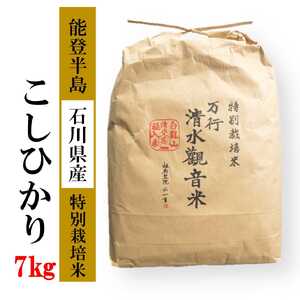 清水観音米こしひかり （特別栽培米7kg）｜ 精米 特別栽培米指定 石川県 七尾市 能登 ※2024年12月上旬頃より順次発送予定