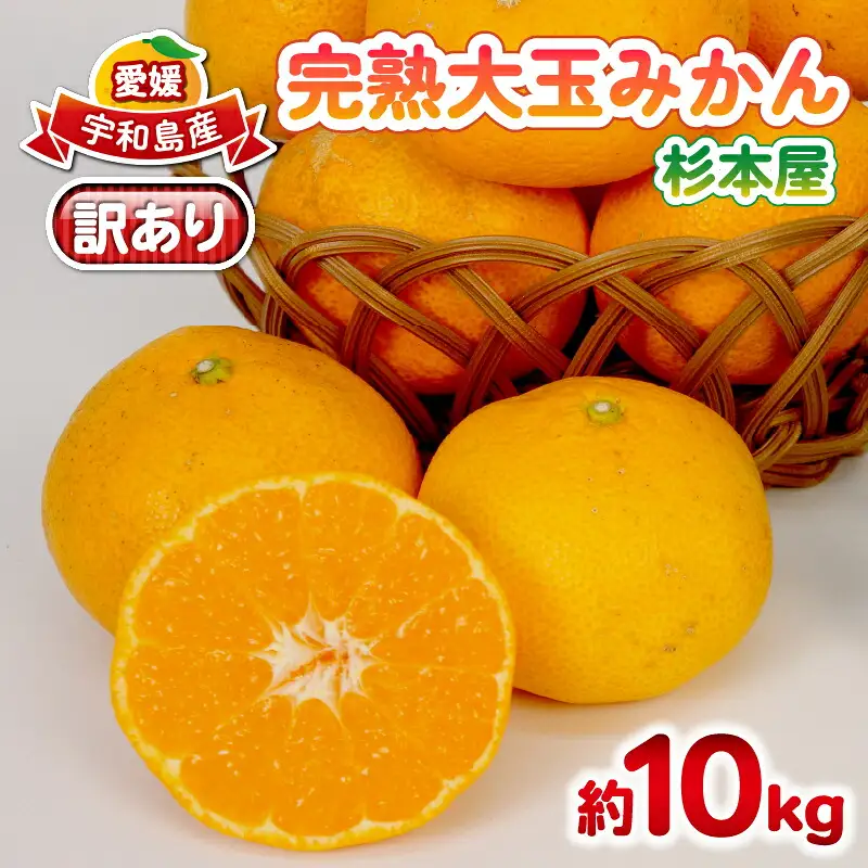 【11/20～12/20発送予定】 みかん 訳あり 完熟 大玉みかん 10kg 杉本屋 B010-143017