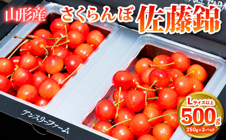 さくらんぼ 「佐藤錦」500g Lサイズ以上 山形産【令和9年産先行予約】 FS25-927
