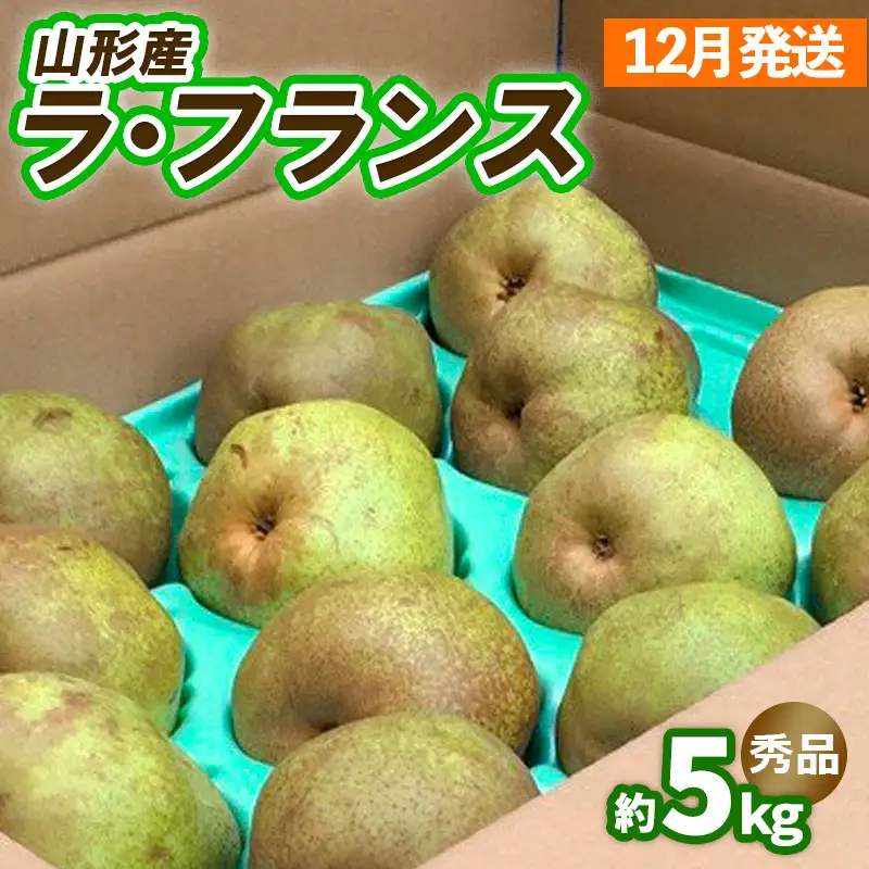 山形のラ・フランス約5kg（10～16玉 3L～6L)[12月発送]【令和8年産先行予約】FS25-743