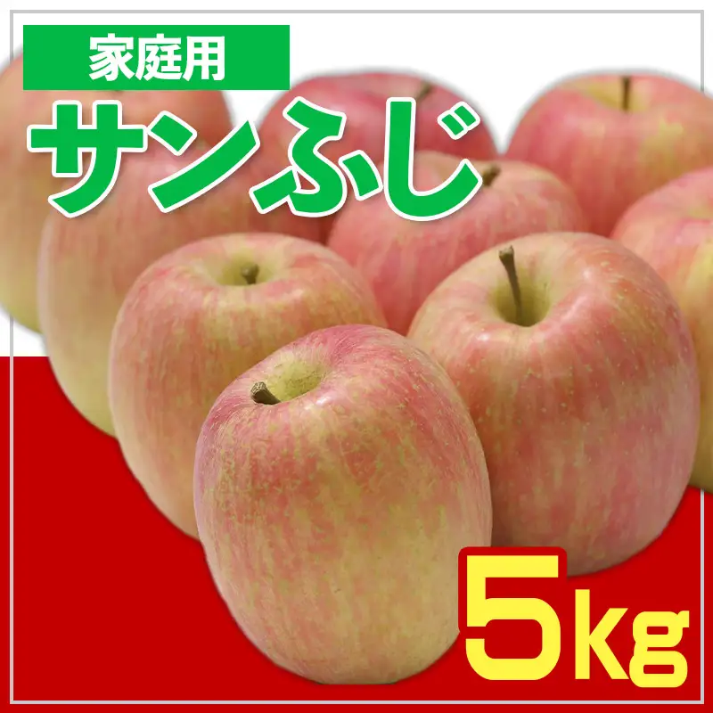 【家庭用】☆フルーツ王国山形☆ りんご (サンふじ) 5kg【令和8年産先行予約】FS25-756