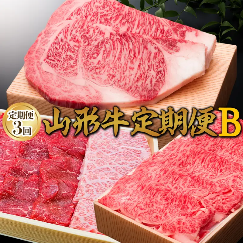 【定期便3回】山形牛定期便B[冷蔵便] FY25-074