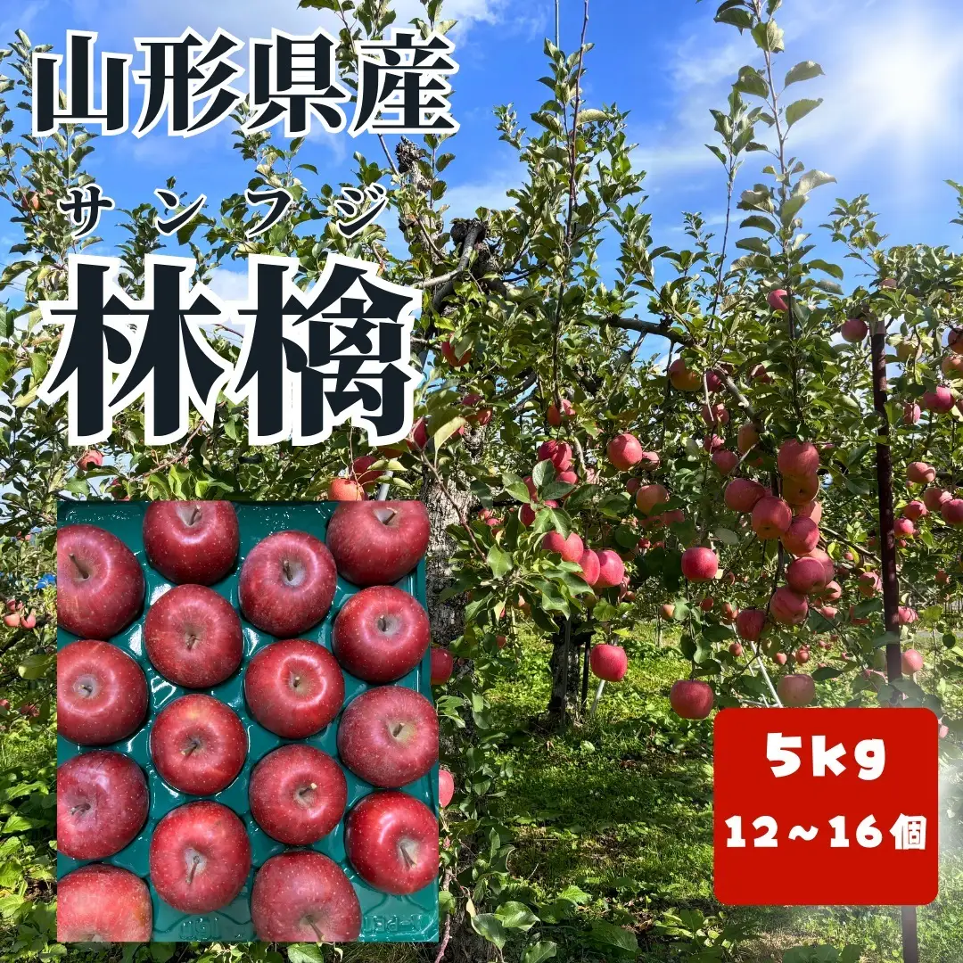 有機肥料栽培　葉とらずサンふじ　上山市産　５ｋｇ　大玉　１２～１６玉　0079-2626