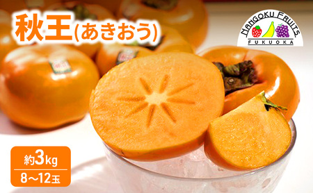 柿 福岡限定! ブランド柿「秋王(あきおう)」約3kg(8-12玉) かき フルーツ 果物 ※配送不可:離島