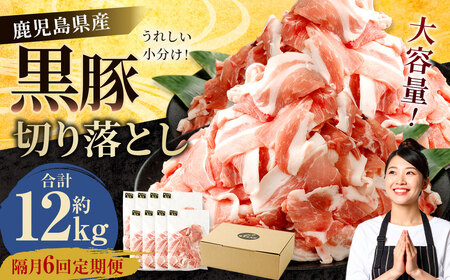 GSR-033 【隔月6回定期便】鹿児島県産黒豚 大容量小分けパック切り落とし 合計12kg（2kg×6回） 黒豚 黒豚切り落とし 切り落とし 豚肉 ウデ肉 肩肉