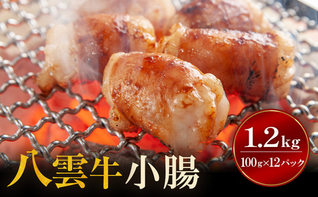 八雲牛 小腸 合計1.2kg (100ｇ×12パック) ※沖縄・離島への配送不可